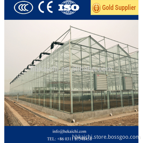 8mm ultra clear tempered glass for greenhouse with factory price and CCC CE ISO